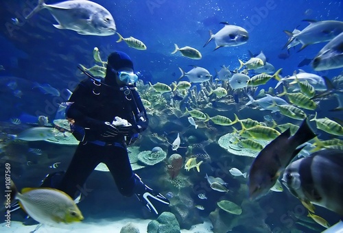 Diver