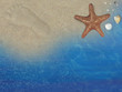 strandsszene mit seestern und muscheln strandsszene mit seestern und muscheln