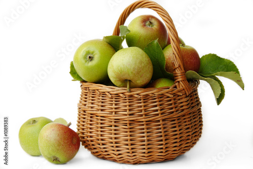 apfelernte