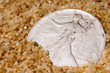 buried treasure
