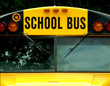 school bus