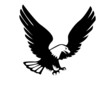 Illustration: eagle eagle
