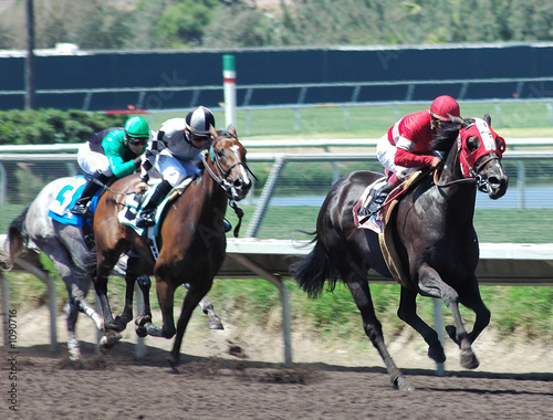 Photo: race horses in the stretch race horses in the stretch