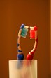 brosses 1