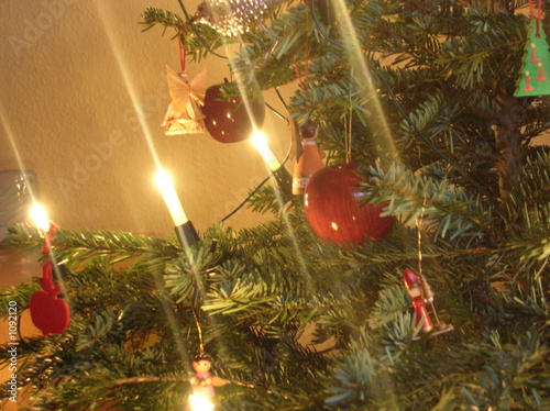 weihnachtsbaum weihnachtsbaum