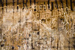 ancient french graffito ancient french graffito