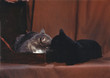 kissing cats kissing cats