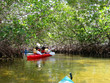 kayaking kayaking