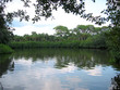 lake reflection lake reflection