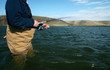 angler