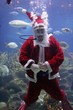 santa clause