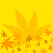 bright fall leaves