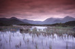 paysage
