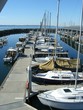 waiting sailboats