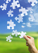 puzzling elements