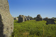 menhir in carnac-brittany menhir in carnac-brittany