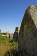 menhir in carnac-brittany menhir in carnac-brittany