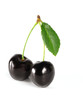 summertime:  black cherry