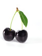summertime: black cherry summertime: black cherry