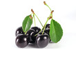 summertime:  black cherry