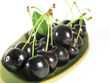 summertime: black cherry summertime: black cherry