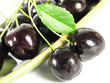 summertime: black cherry summertime: black cherry