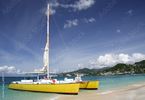 sailing in paradise