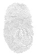 thumb made with words