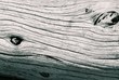 driftwood closeup