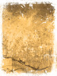grunge background grunge background