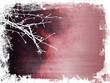winter background winter background