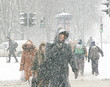 Photo: snowfall snowfall