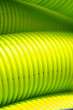 tuyau vert citron