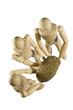 woodmodel4