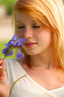 the scent of a flower