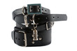 dog collars stock together - isolated