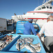 poissonnier - marseille