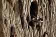 la clé du moulin la clé du moulin
