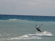 cerf-volant cerf-volant