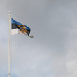 presidential flag estonia