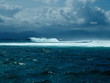 surf