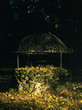 Photo: well well