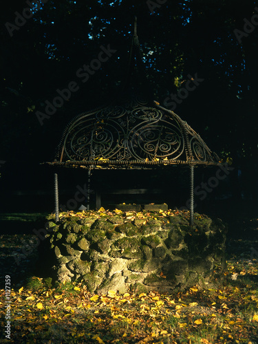 Photo: well well