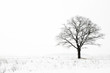 winter lonelyness