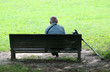 grandfather in park grandfather in park