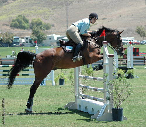 Photo: show horse jumping a barrier show horse jumping a barrier