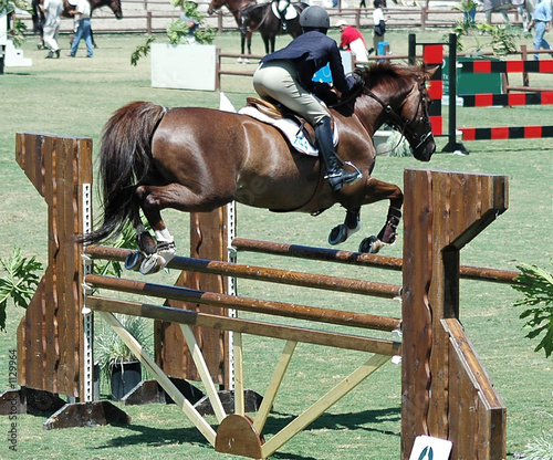 Photo: horse & rider jumping a barrier horse & rider jumping a barrier
