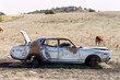 car wreck