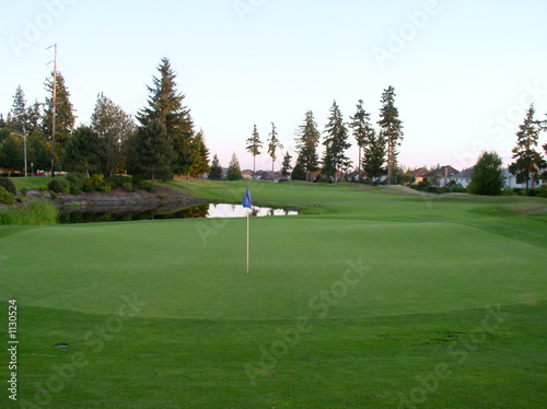 Photo: golf course golf course