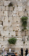 the jerusalem wailing wall the jerusalem wailing wall